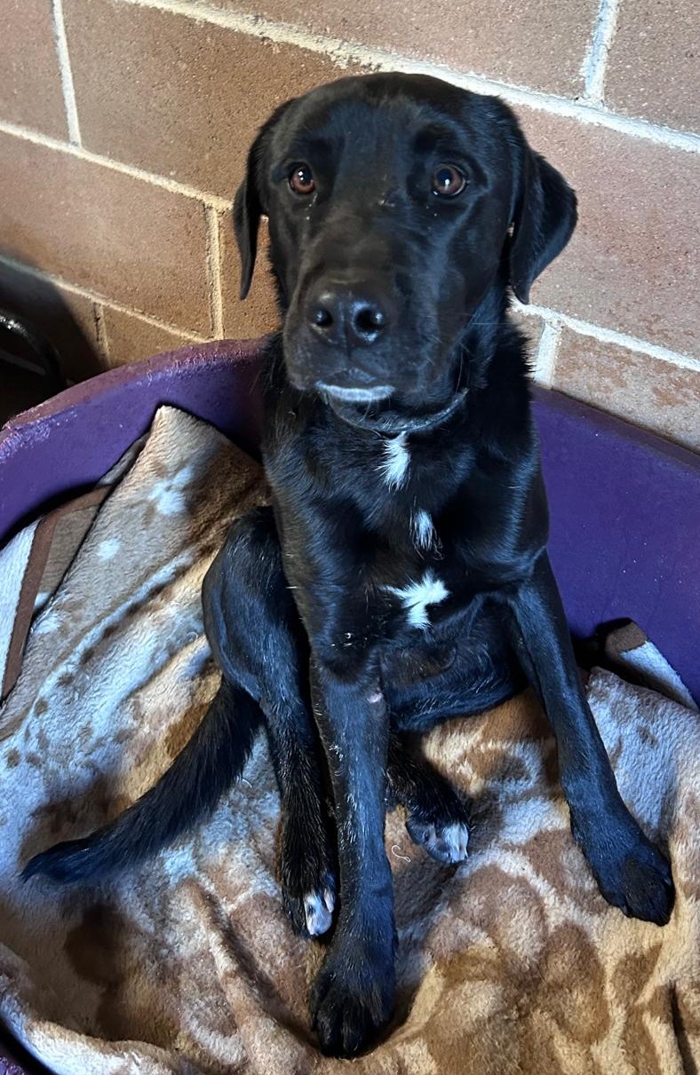 Fotografía Principal